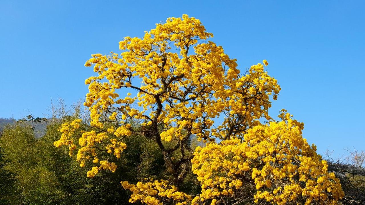 Pousada Atelier Casa Do Ipe Amarelo Miguel Pereira Εξωτερικό φωτογραφία